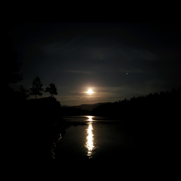 Meet your Posher, Vicki - Picture 1 of 1